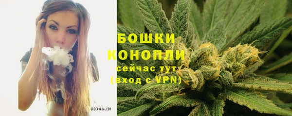 экстази Пересвет