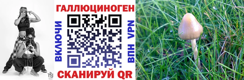 mega ONION  Рыльск  Галлюциногенные грибы прущие грибы 
