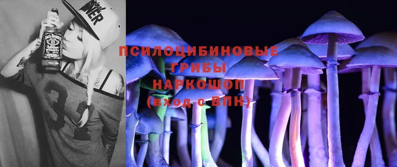 Псилоцибиновые грибы Magic Shrooms  Рыльск 